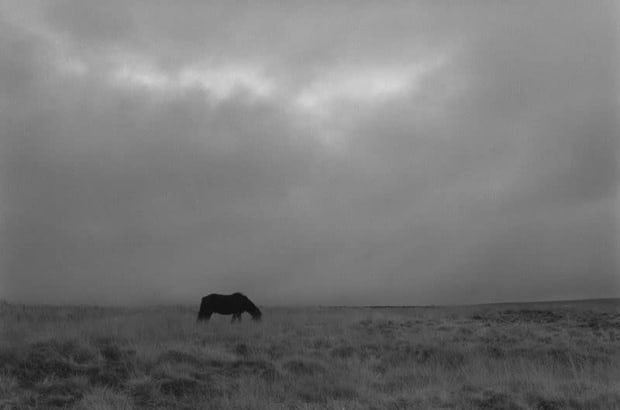 George Tice, Grazing Horse, Haworth Moor, Yorkshire, 1990/ Printed later