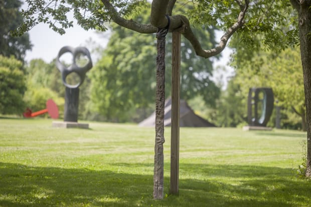 'I began my process walking the grounds...and I found myself drawn to places that had little to no sculptures: I...