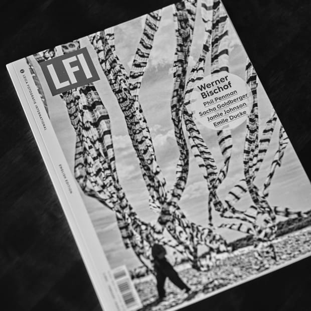 NEW YORK STREET DIARIES, LFI Magazine