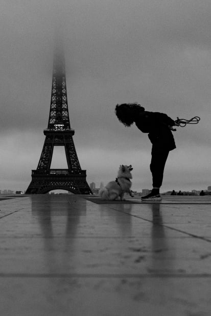 TESTIMONIAL, Gesine Sendker