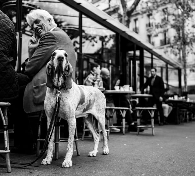 TESTIMONIAL, Martin Skold