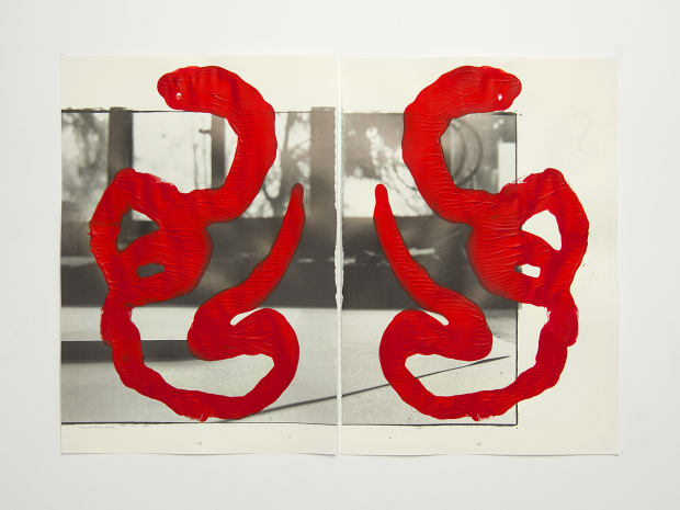 TASHI BRAUEN DU SERIES