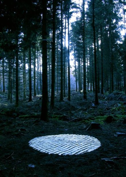 2024 Residency Artists