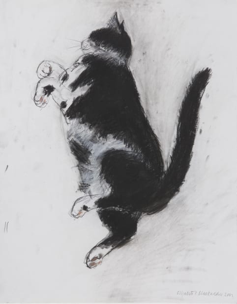 The Blackadder Houston Bequest