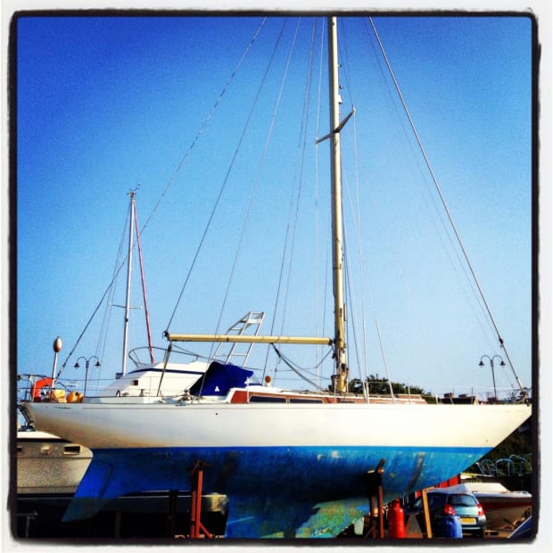 Bobby The Seagull, 21.01.20 Art Thought #17