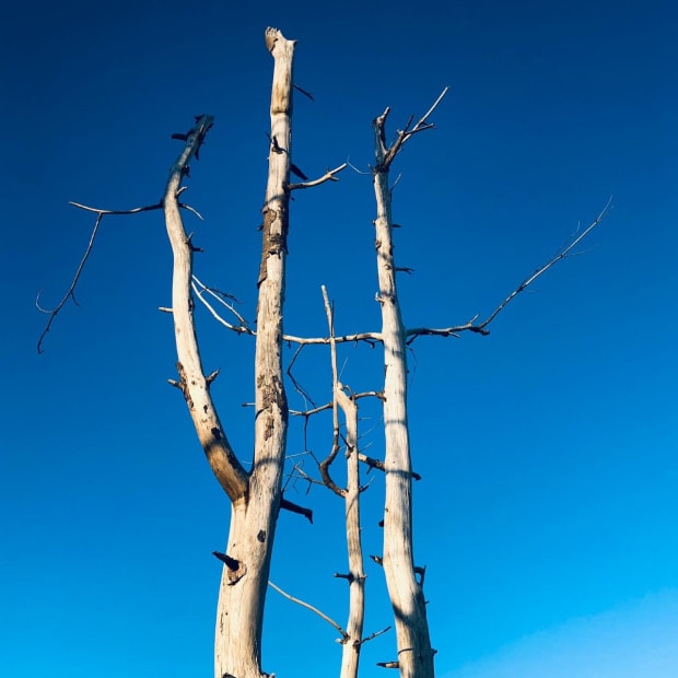 Seascapes, 15.11.20 Art Thought #24