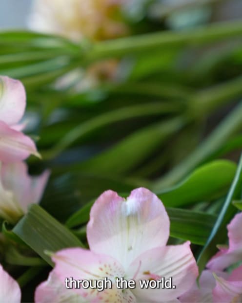 TA: Can you tell us about your forthcoming exhibition at Art Dubai? SI: Never Make a Wish in a Dry...