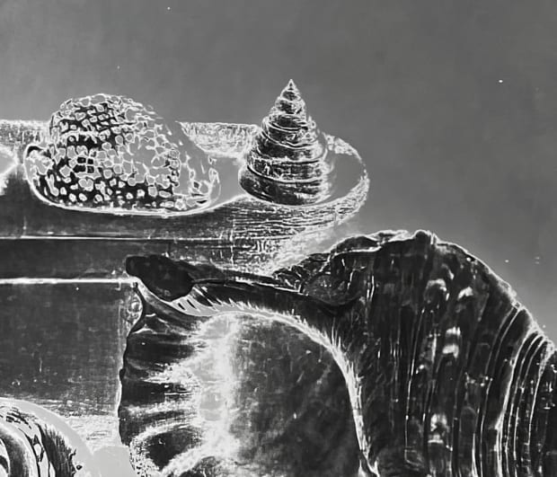 detail of Lisa oppenheim photograph