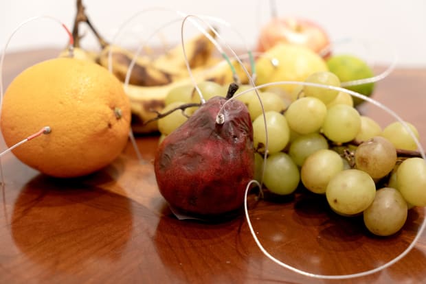 Yuko Mohri decomposition 2024