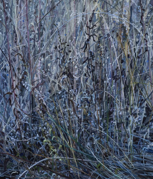 During the pandemic, Sherman turned to local subjects, such as wildflowers – plants that thrive along roadsides, return quickly after...