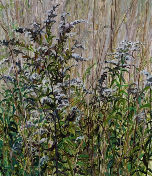 Claire Sherman was born in 1981 in Oberlin, Ohio. She received her B.A. from The University of Pennsylvania and her...