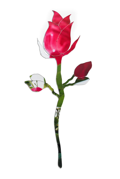 'Vipassana meditation, which several recent series have touched upon, aims to shed those projections and reactions to objects and experiences....