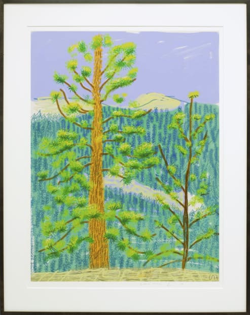 Between 2010 and 2011, working with an iPad, Hockney created a series of landscapes from the Yosemite National Park in...