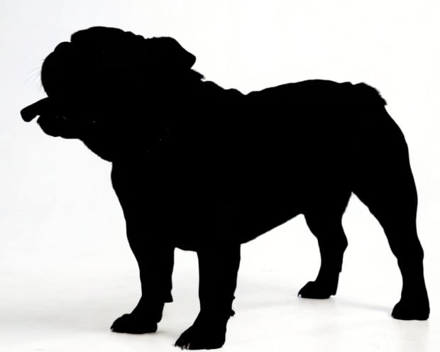 Worldwide Commissions