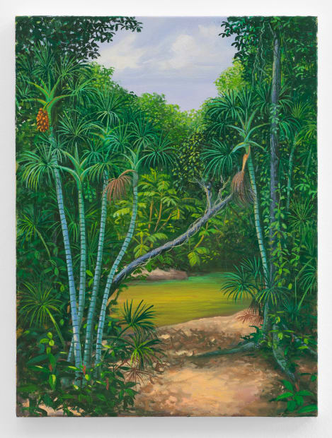 Mata adentro Ao contemplar uma pintura de Miguel Penha Chiquitano, o espectador vive a experiência estética de “ir mata adentro”:...