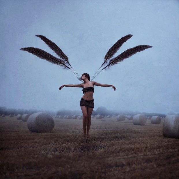 Michelle Mackie, With Brave Wings She Flies, 2019