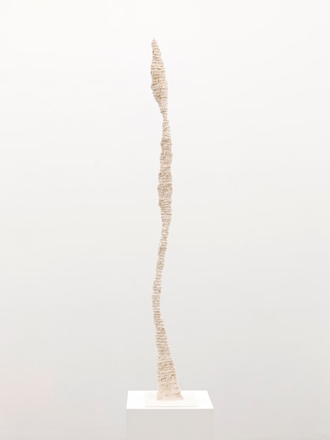 Untitled, 2024