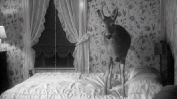 Johan Grimonprez, BED, 2009