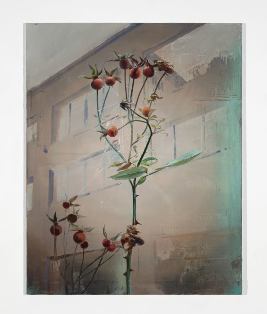 Untitled, 2009