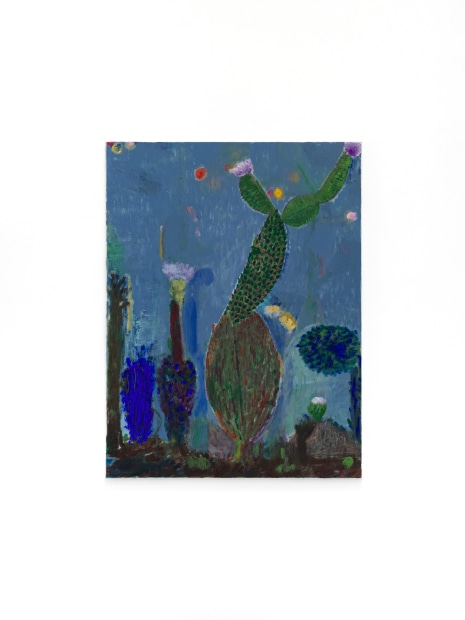 Cactus studie, 2024