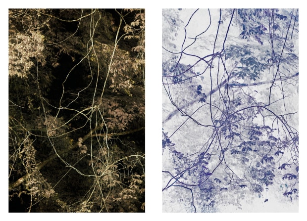 Léonard Pongo, Diptych Double, 2019