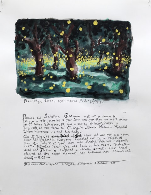 Johan Grimonprez, Pteroptyc Tener ( Synchronous Flashing Fireflies ) #1, 2018