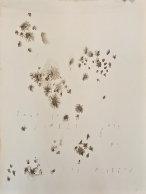 Pour la simple joie de tes miettes, 2017