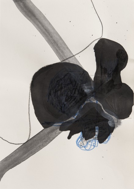 Thomas Müller, Untitled, 2017