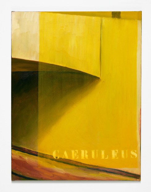 Agnes Maes, Caeruleus (HVII), 1999