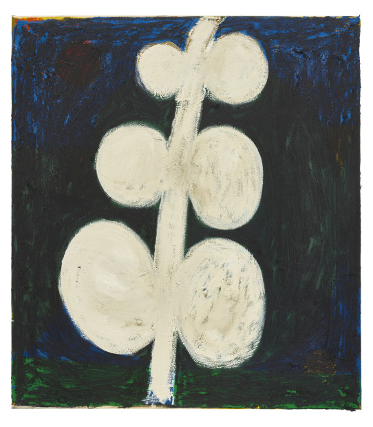 Tuukka Tammisaari, Plant Motif (Medium), 2018