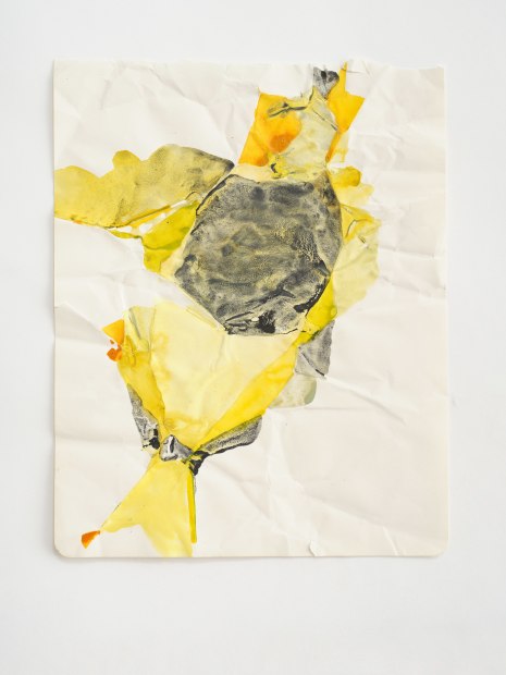 Topos (Wales 6 / Slate in Deep Yellow), 2019