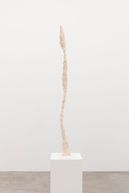 Untitled (20.2024), 2024