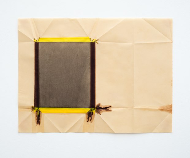 Jeff McMillan, Biblio (DS2), 2018