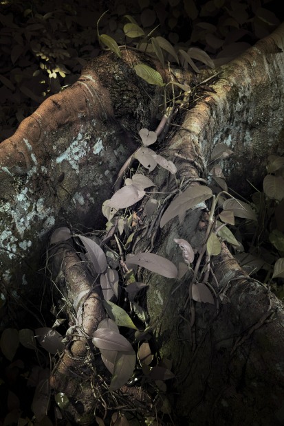 Léonard Pongo, Untitled (Primordial Earth series), 2020