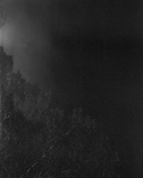 #314-5, 2011
