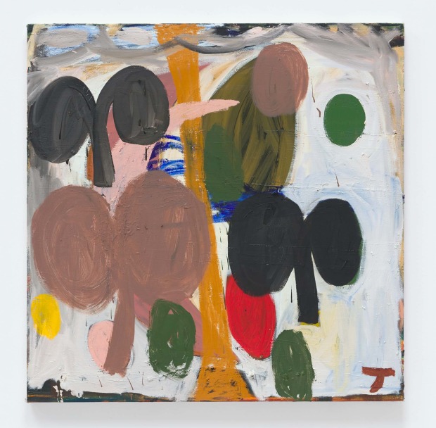Tuukka Tammisaari, Nature Unexplained, 2018-2019