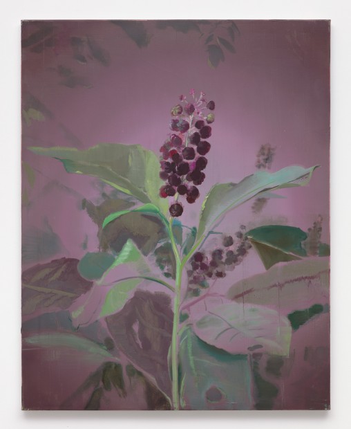 Joris Ghekiere, Untitled, 2009