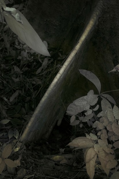 Léonard Pongo, Cross, 2019