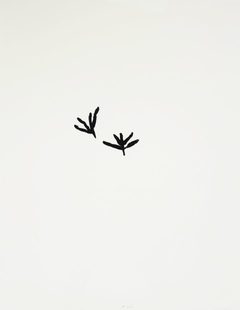 Seeds and Tracks, #6, 2012