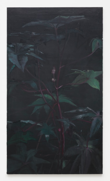 Joris Ghekiere, Untitled, 2010
