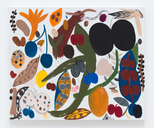 Tuukka Tammisaari, Nature Explained, 2018