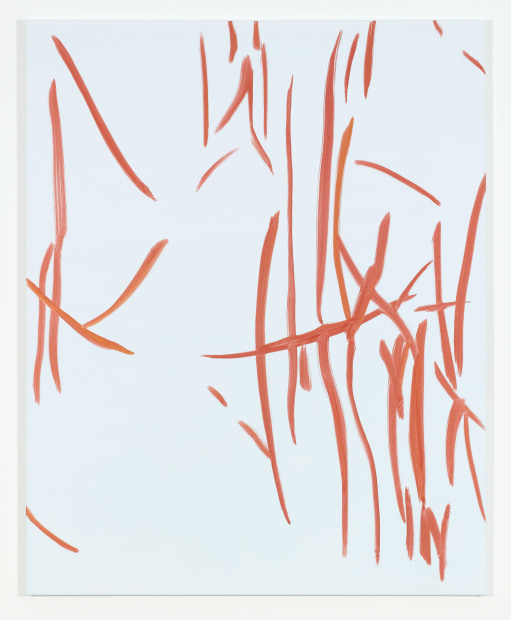 Evi Vingerling, Untitled, 2019