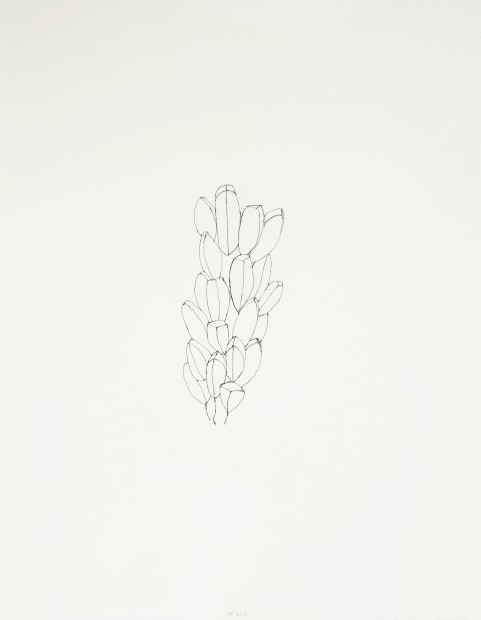 Seeds and Tracks, #4, 2012