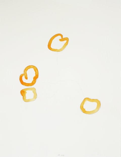 Seeds and Tracks, #13, 2012