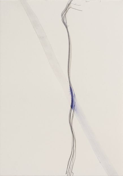Thomas Müller, Untitled, 2016