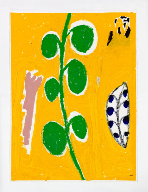 Tuukka Tammisaari, Things I collected in the forest - a twing, a plant, some sort of berries and stuff, 2018
