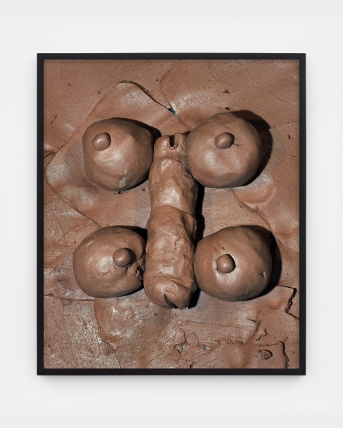 Whitney Hubbs, Funny, Ha Ha #1, 2022