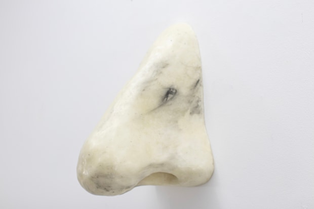 Loup Sarion, Californian Nose, 2022