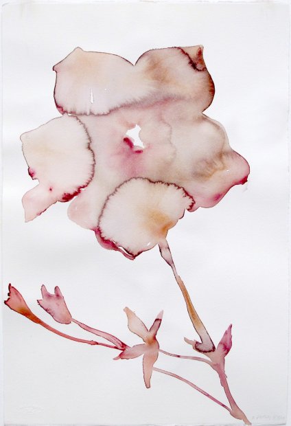 Kim McCarty, April 3, 2009 PM, 2009