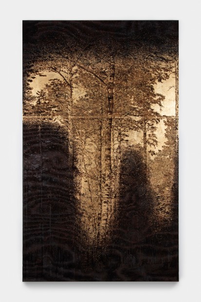 Matthew Brandt, Birch SP015A, 2021